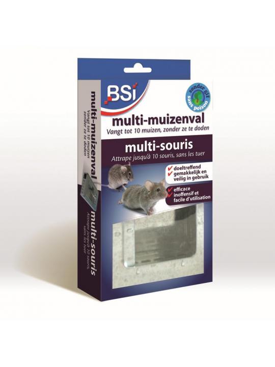 BSI Multi-Muizenval | 1 st.
